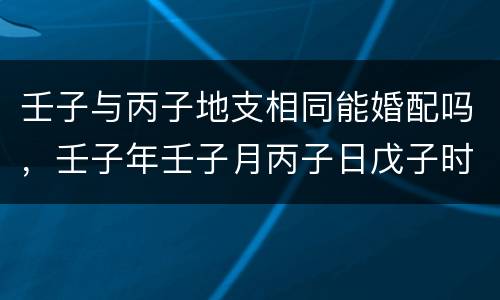 壬子与丙子地支相同能婚配吗，壬子年壬子月丙子日戊子时生人！请求问
