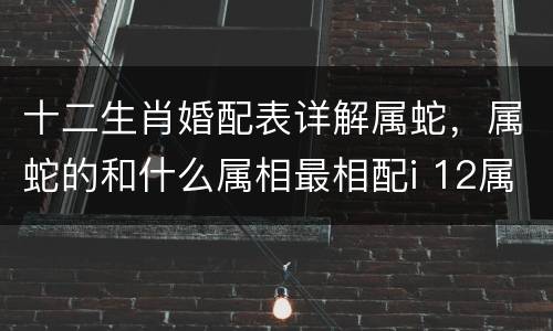 十二生肖婚配表详解属蛇，属蛇的和什么属相最相配i 12属相婚配表