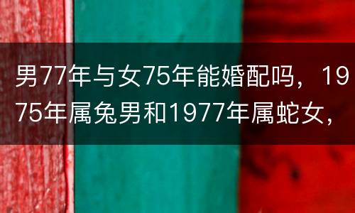 男77年与女75年能婚配吗，1975年属兔男和1977年属蛇女，合婚吗