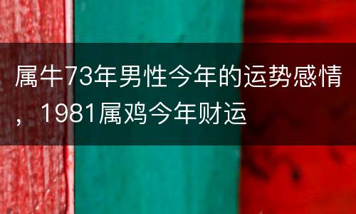 属牛73年男性今年的运势感情，1981属鸡今年财运