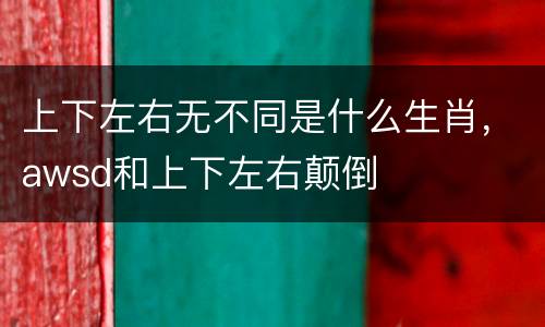 上下左右无不同是什么生肖，awsd和上下左右颠倒