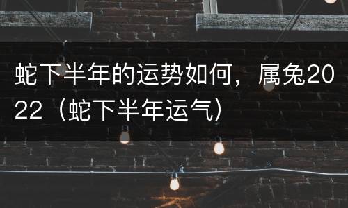 蛇下半年的运势如何，属兔2022（蛇下半年运气）