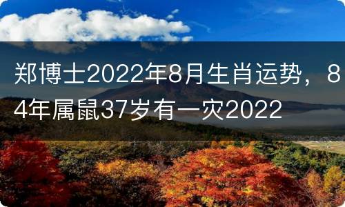 郑博士2022年8月生肖运势，84年属鼠37岁有一灾2022
