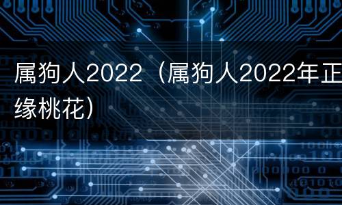 属狗人2022（属狗人2022年正缘桃花）