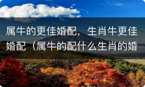 属牛的更佳婚配，生肖牛更佳婚配（属牛的配什么生肖的婚姻最好?）