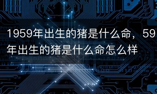 1959年出生的猪是什么命，59年出生的猪是什么命怎么样