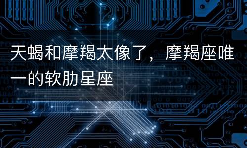 天蝎和摩羯太像了，摩羯座唯一的软肋星座