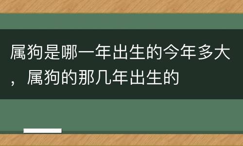 属狗是哪一年出生的今年多大，属狗的那几年出生的