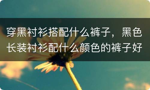 穿黑衬衫搭配什么裤子，黑色长装衬衫配什么颜色的裤子好看？