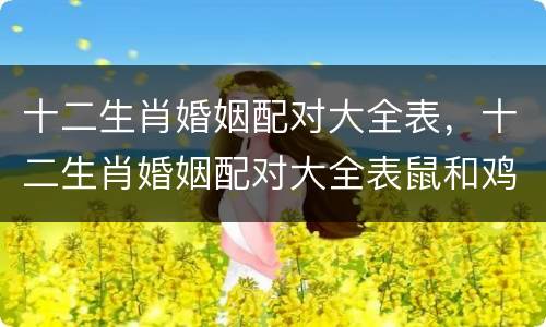十二生肖婚姻配对大全表，十二生肖婚姻配对大全表鼠和鸡