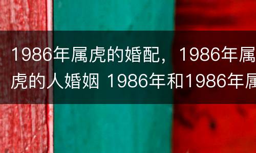 1986年属虎的婚配，1986年属虎的人婚姻 1986年和1986年属虎的婚姻怎么样