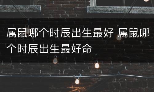 属鼠哪个时辰出生最好 属鼠哪个时辰出生最好命