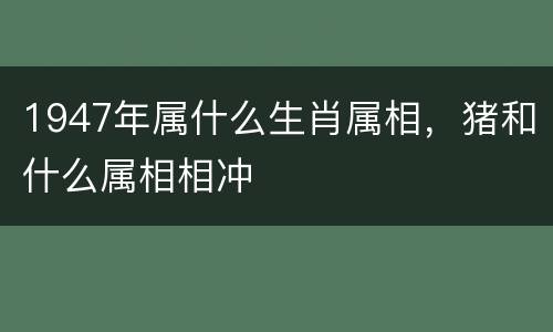 1947年属什么生肖属相，猪和什么属相相冲