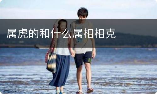属虎的和什么属相相克