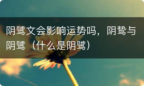 阴骘文会影响运势吗，阴鸷与阴骘（什么是阴骘）