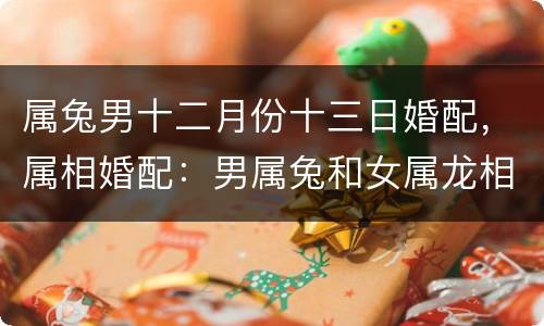 属兔男十二月份十三日婚配，属相婚配：男属兔和女属龙相配吗