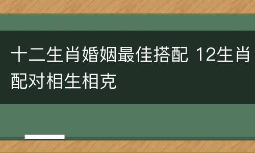 十二生肖婚姻最佳搭配 12生肖配对相生相克
