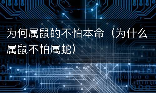 为何属鼠的不怕本命（为什么属鼠不怕属蛇）