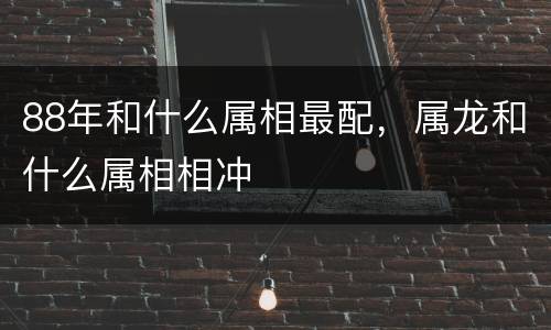 88年和什么属相最配，属龙和什么属相相冲
