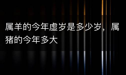 属羊的今年虚岁是多少岁，属猪的今年多大