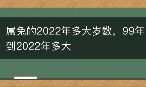 属兔的2022年多大岁数，99年到2022年多大