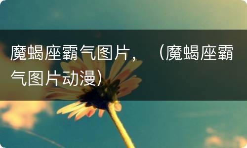 魔蝎座霸气图片，（魔蝎座霸气图片动漫）