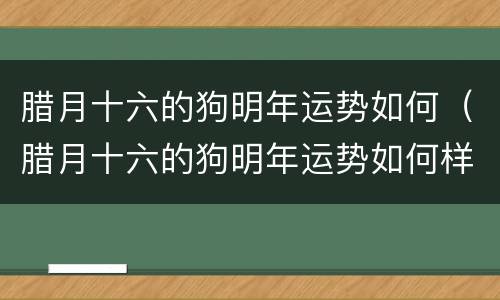 腊月十六的狗明年运势如何（腊月十六的狗明年运势如何样）
