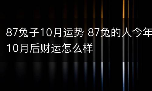 87兔子10月运势 87兔的人今年10月后财运怎么样