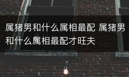属猪男和什么属相最配 属猪男和什么属相最配才旺夫