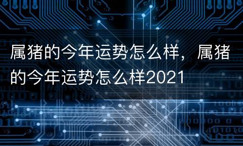 属猪的今年运势怎么样，属猪的今年运势怎么样2021