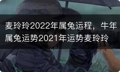 麦玲玲2022年属兔运程，牛年属兔运势2021年运势麦玲玲