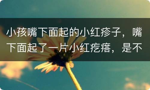 小孩嘴下面起的小红疹子，嘴下面起了一片小红疙瘩，是不是潮湿引起的，该怎