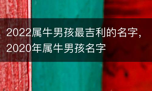 2022属牛男孩最吉利的名字，2020年属牛男孩名字
