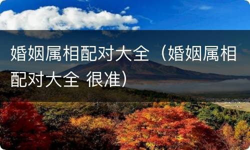 婚姻属相配对大全（婚姻属相配对大全 很准）