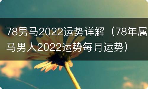 78男马2022运势详解（78年属马男人2022运势每月运势）