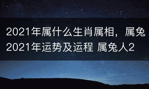 2021年属什么生肖属相，属兔2021年运势及运程 属兔人2