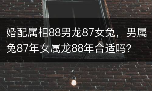 婚配属相88男龙87女兔，男属兔87年女属龙88年合适吗？