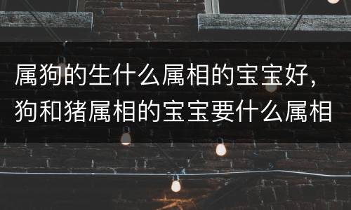属狗的生什么属相的宝宝好，狗和猪属相的宝宝要什么属相好属狗和
