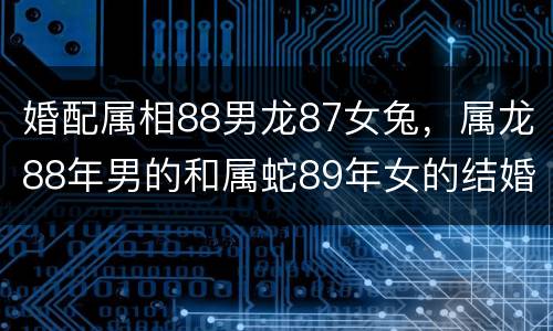 婚配属相88男龙87女兔，属龙88年男的和属蛇89年女的结婚