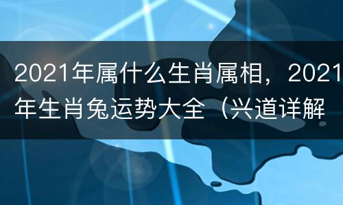 2021年属什么生肖属相，2021年生肖兔运势大全（兴道详解