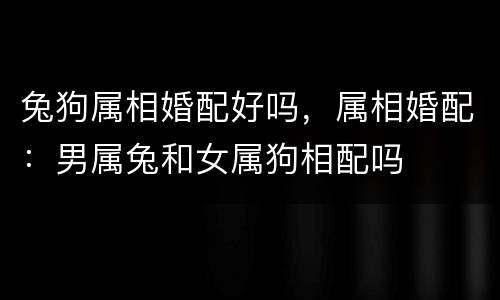 兔狗属相婚配好吗，属相婚配：男属兔和女属狗相配吗