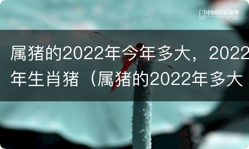 属猪的2022年今年多大，2022年生肖猪（属猪的2022年多大岁数）