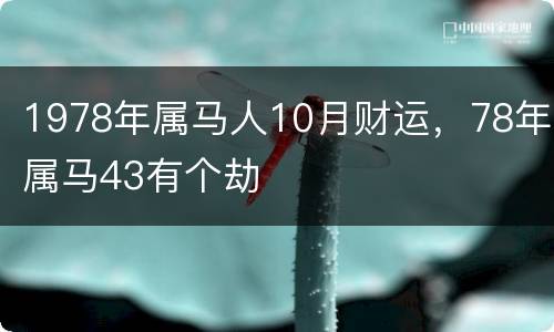 1978年属马人10月财运，78年属马43有个劫