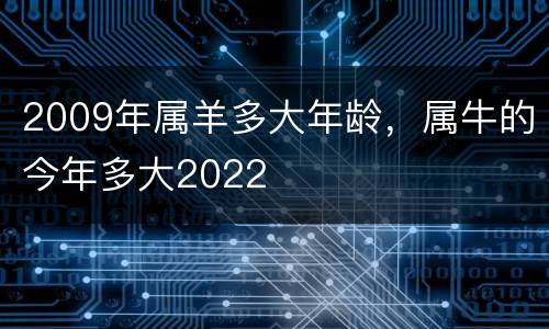 2009年属羊多大年龄，属牛的今年多大2022
