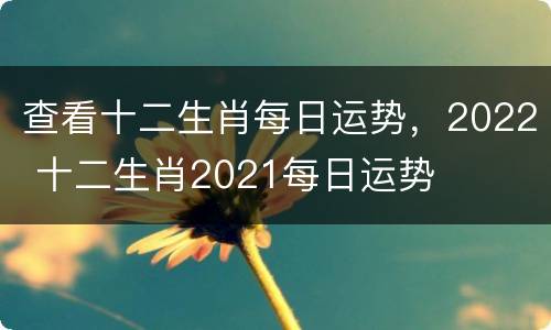查看十二生肖每日运势，2022 十二生肖2021每日运势
