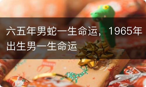六五年男蛇一生命运，1965年出生男一生命运