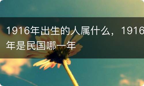 1916年出生的人属什么，1916年是民国哪一年