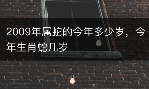 2009年属蛇的今年多少岁，今年生肖蛇几岁