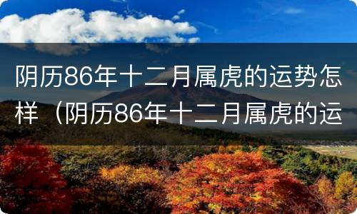 阴历86年十二月属虎的运势怎样（阴历86年十二月属虎的运势怎样呢）