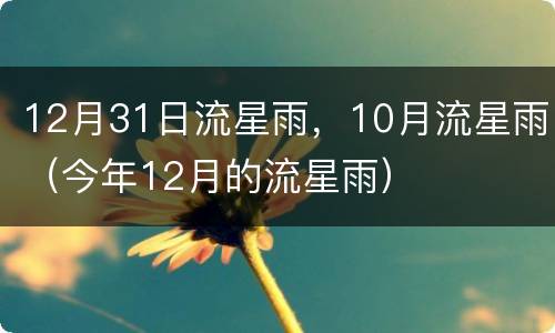 12月31日流星雨，10月流星雨（今年12月的流星雨）